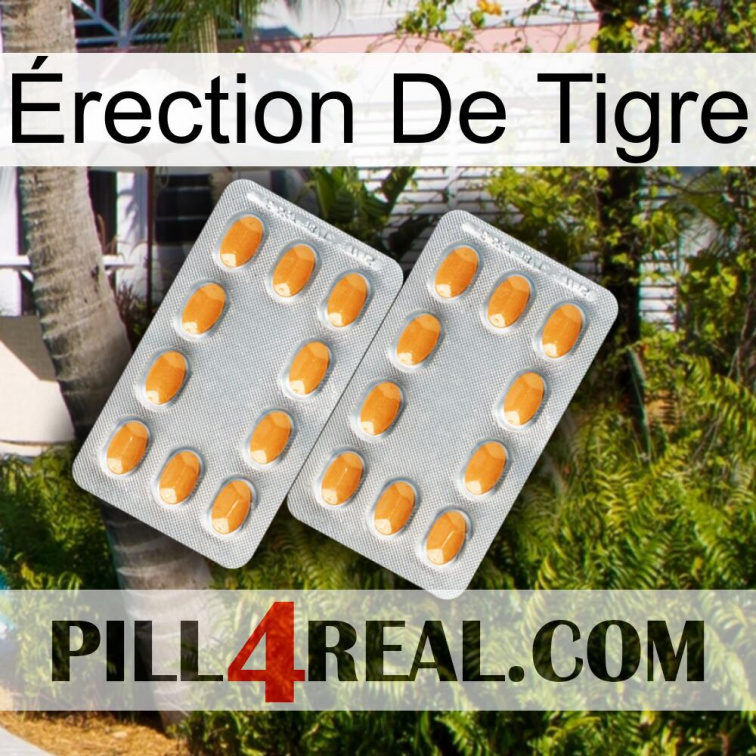 Érection De Tigre cialis4